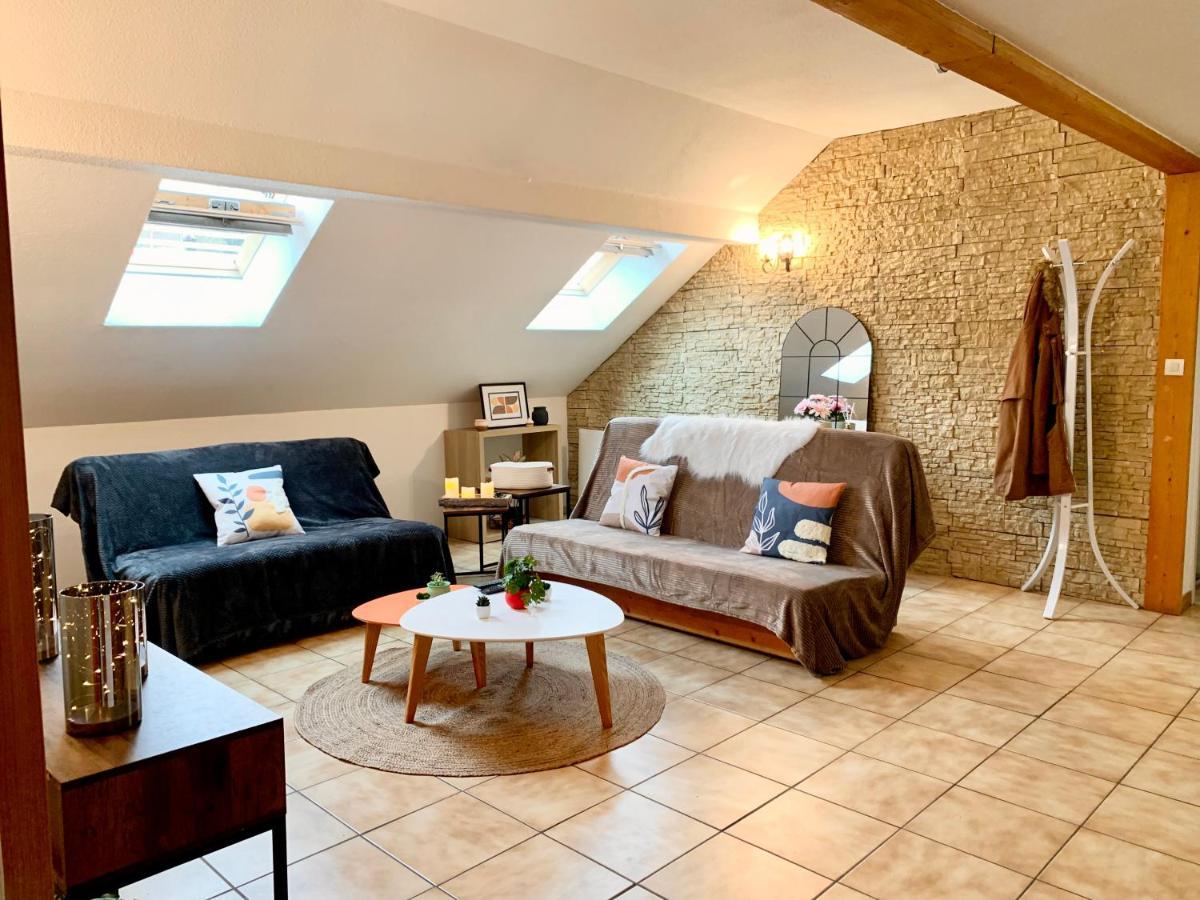 Charmant appart sous toits proche Château des Ducs Chambéry Exterior foto